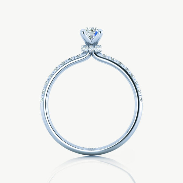 1 ct Round Cut Gabriel Hidden Halo Platinum Engagement Ring - Image 4